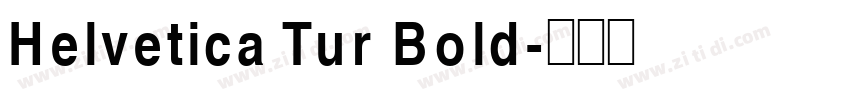 Helvetica Tur Bold字体转换